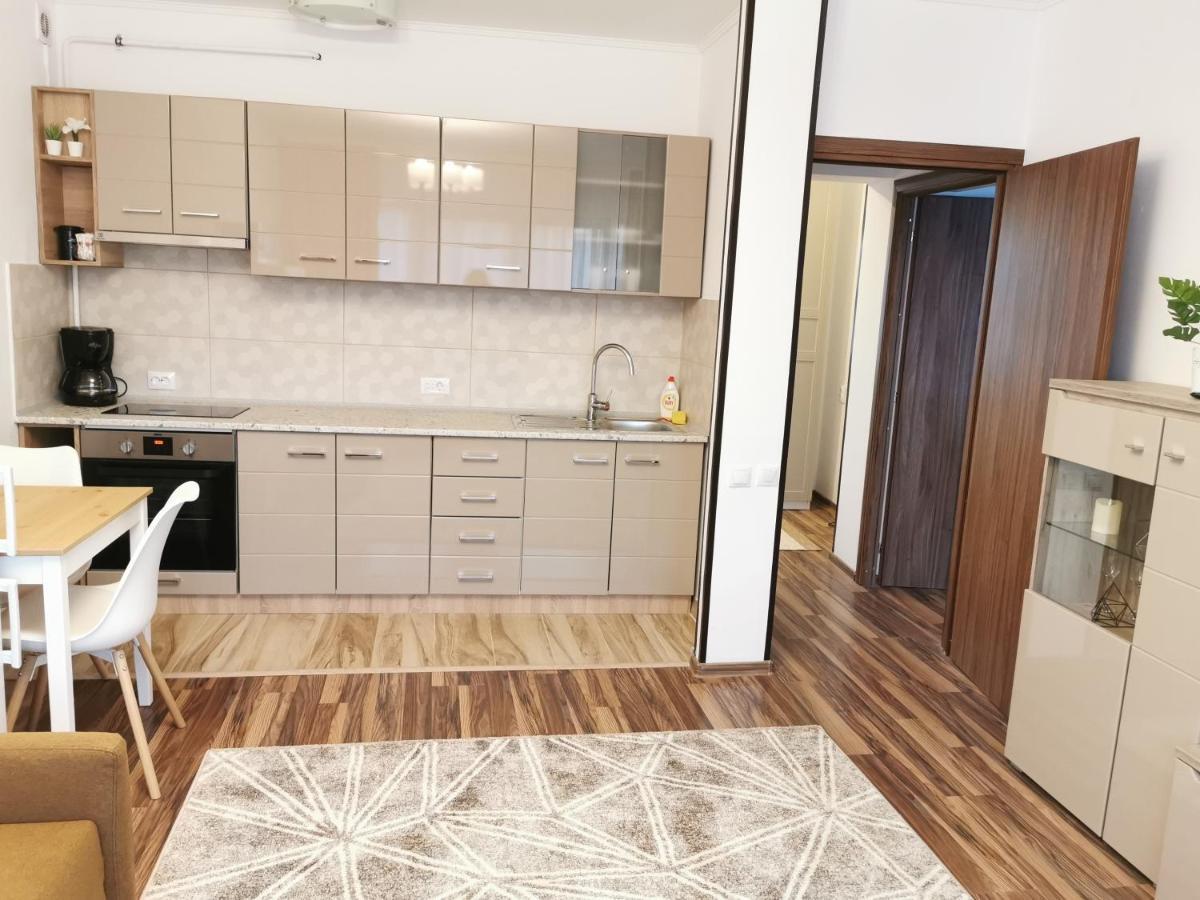Charming Apartment In Villa Iasi Exterior foto